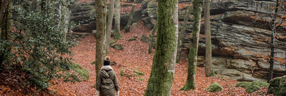Randonneur admirant les paysages alpins du Queyras.