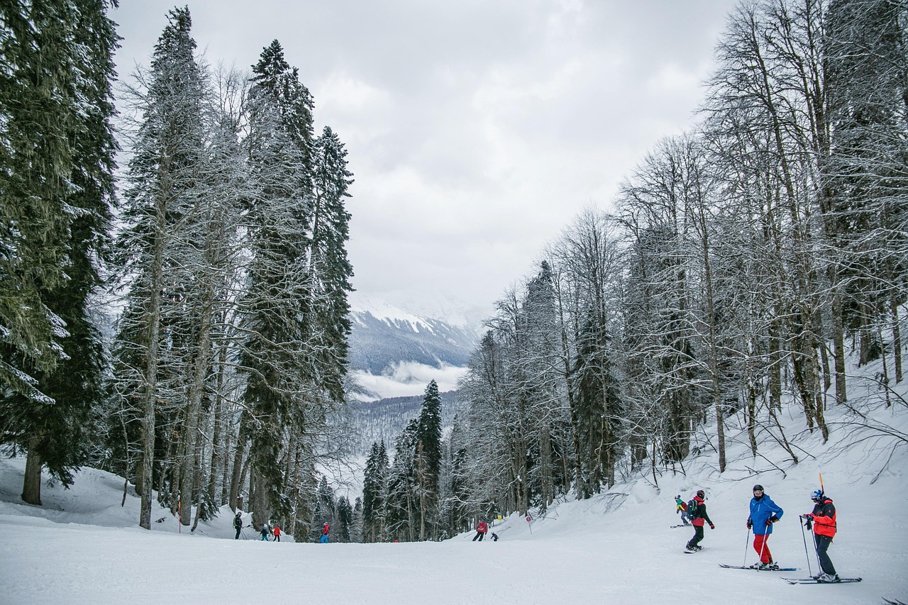 Skieur dévalant une piste enneigée dans les montagnes du Queyras.