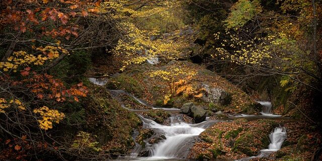 Automne dans le Queyras à la Villa Belle Fleur